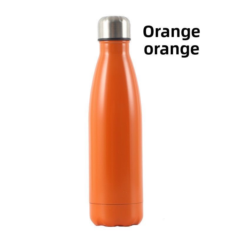 Insulated Stainless Steel Water Bottle