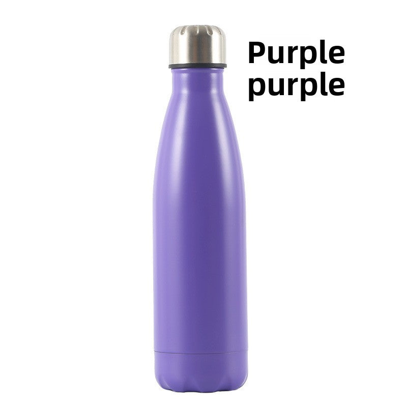 Insulated Stainless Steel Water Bottle