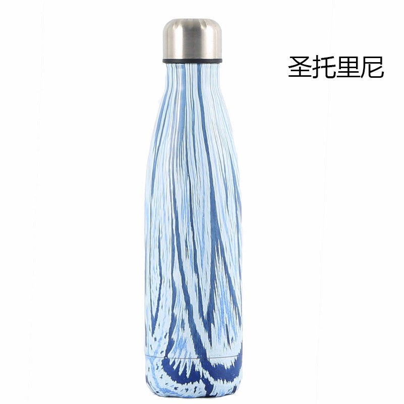 Insulated Stainless Steel Water Bottle